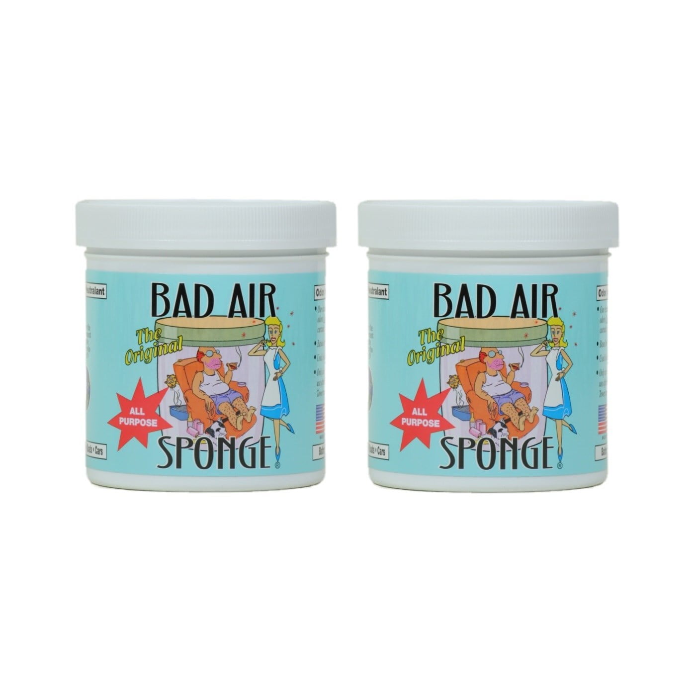 Bad Air Sponge Air Odor Absorbent 2Pack of 14 ounce (Eliminates Bad