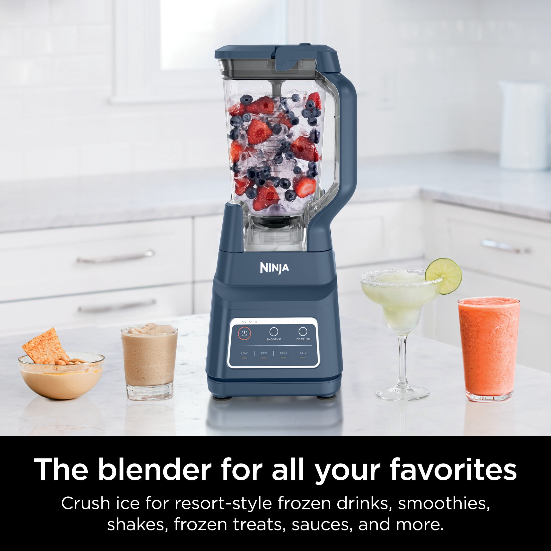 Free Shipping! Ninja Professional Plus Blender with 1200-Watt