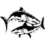 Custom Wall Decal Sharks Animal Kids Boys Bedroom Home Decor Sticker - Vinyl Wall