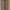 Soft Brown, variant on Milani Stay Put Brow Mousse Tinted Brow Color, Medium Brown, 0.10 fl oz