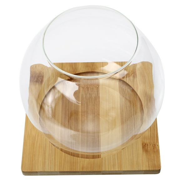 WORGEOUS  Small Fish Tank Clear Plant Pot Fishbowl Vases for Prizes Succulent Planters Bowls Office