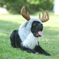 thumbnail image 1 of Disfraz de mascota Onmygogo divertido disfraz de alce para perro talla L, 1 of 8