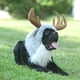 thumbnail image 1 of Disfraz de mascota Onmygogo divertido disfraz de alce para perro talla L, 1 of 8