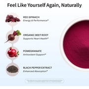 Snap Supplements Beet Root Nitric Oxide Powder - Blood Pressure & Cardio Health Support, Energy Boost, Original