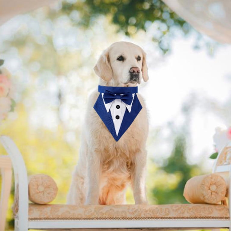 formal dress for dogs Pet Collars Dog Tuxedo Bowtie Wedding Outfit Small Blue Up Birthday Accessory,16 inch,Blue GL-03.26.25