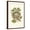 Brown Frame, variant on Art.com Kingbird Nest and Eggs Art Print, 12" x 18"