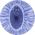 thumbnail image 1 of Ahgly Company Tapis d'Intérieur Ronds de Style Transitionnel Lavables à la Machine, Bleu Royal, 3 Pieds Rond, 1 of 7