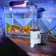 thumbnail image 1 of Alimentador automático de peces con temporizador, dispensador automático de comida para peces, dispensador de comida para acuarios, tortugas, bettas, koi, 1 of 7