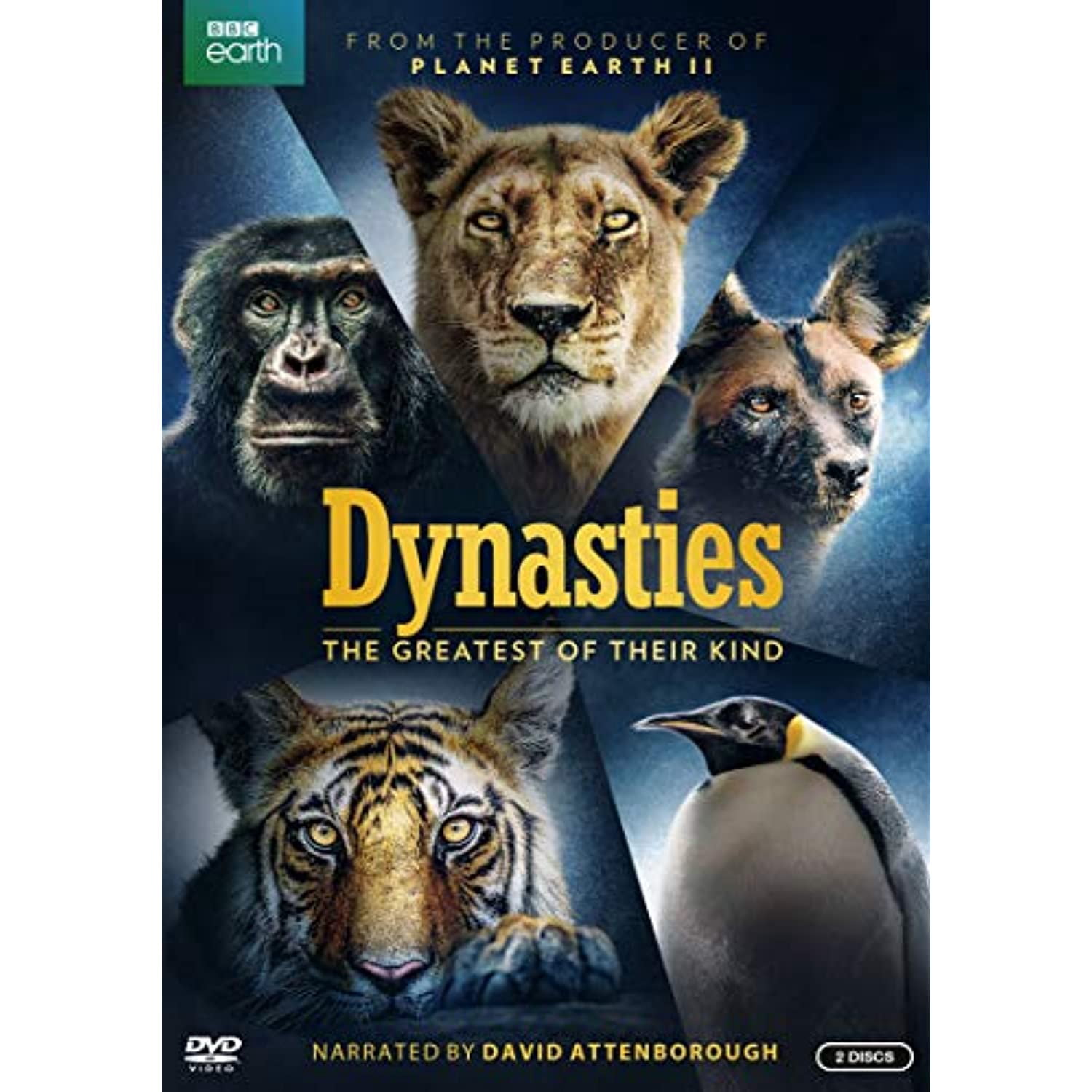 BBC 植物の世界 DVD 5枚セット まとめ売り BBC 植物の世界 DVD 5枚