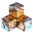 thumbnail image 2 of Shashibo Magnetic Puzzle Cube - Savanna, STEM Fidget Transforms into 70 Shapes, 1 Pack, 2 of 8