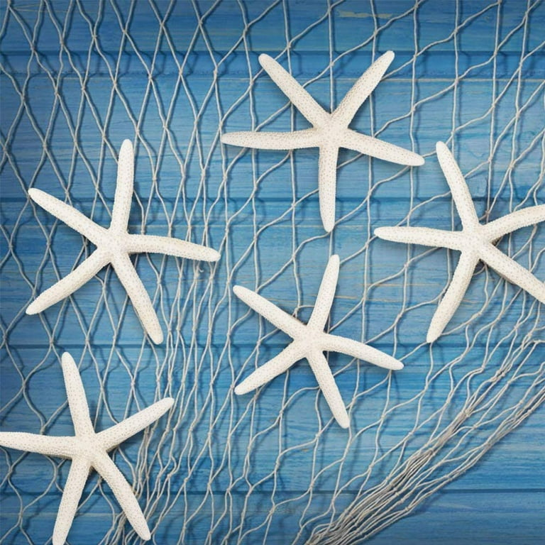 Starfish Decor - 10 Pack Green Blue & White Assorted Star Fish 2-4 Inch -  Starfish for Crafts - Starfish Wall Décor - Beach Wedding Starfish - Beach