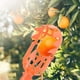 thumbnail image 3 of Fruit Picker Basket | Universal Attachable Orchard Tool for Pear Orange Harvesting | Durable Metal Mesh Design Fits Standard Poles | Easy Install | 1-Pack | Quickly Picks Multiple Fruits, 3 of 5