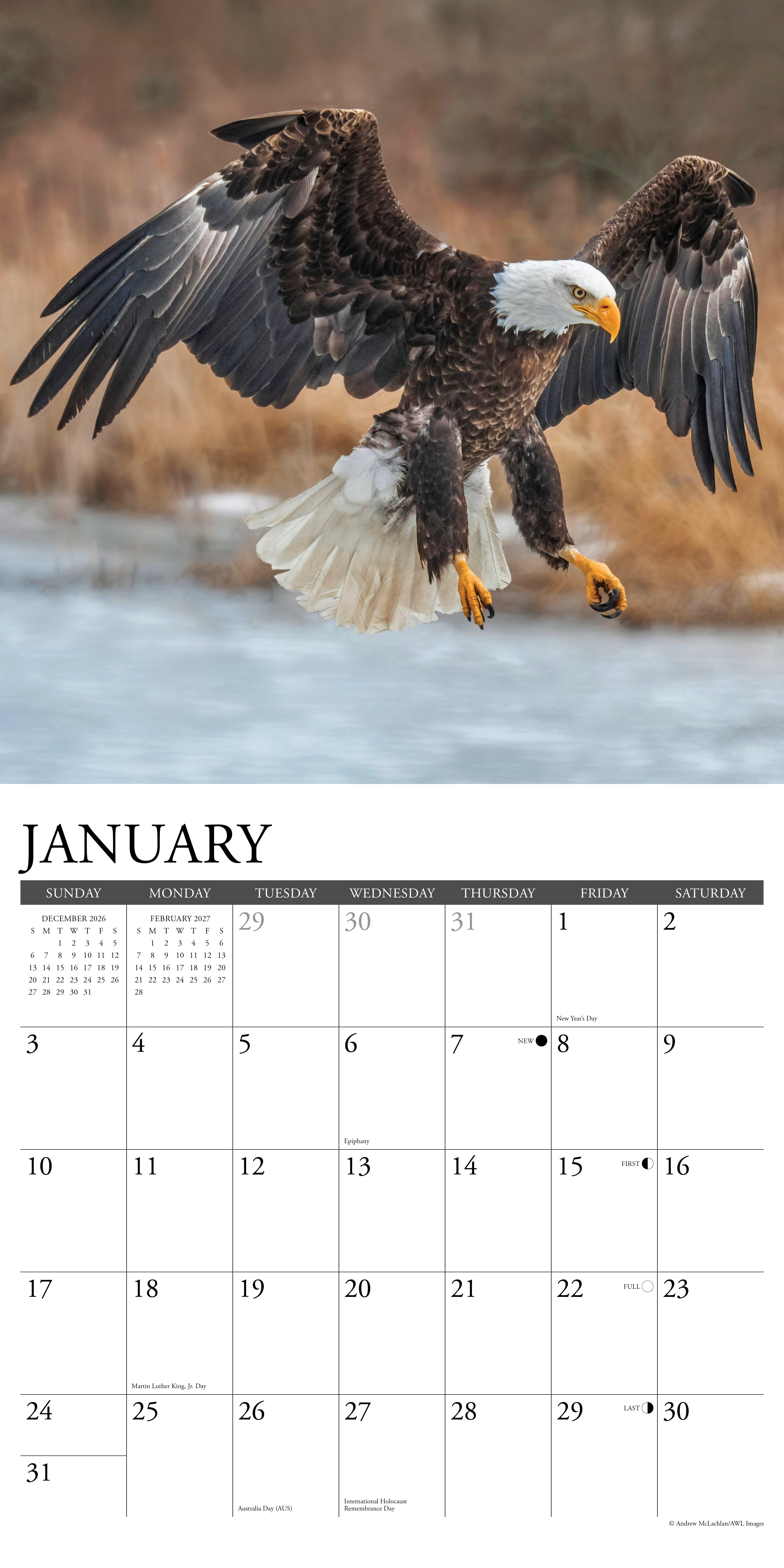Willow Creek Press, Eagles 2027 Wall Calendar