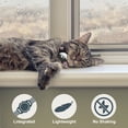 thumbnail image 7 of Unique Bargains Waterproof Cat Collar for Airtag  Reflective Collar with Bell Breakaway Cat Collar for Airtag Holder Cat Collars Cat Collar for Apple Air Tag Pink, 7 of 7