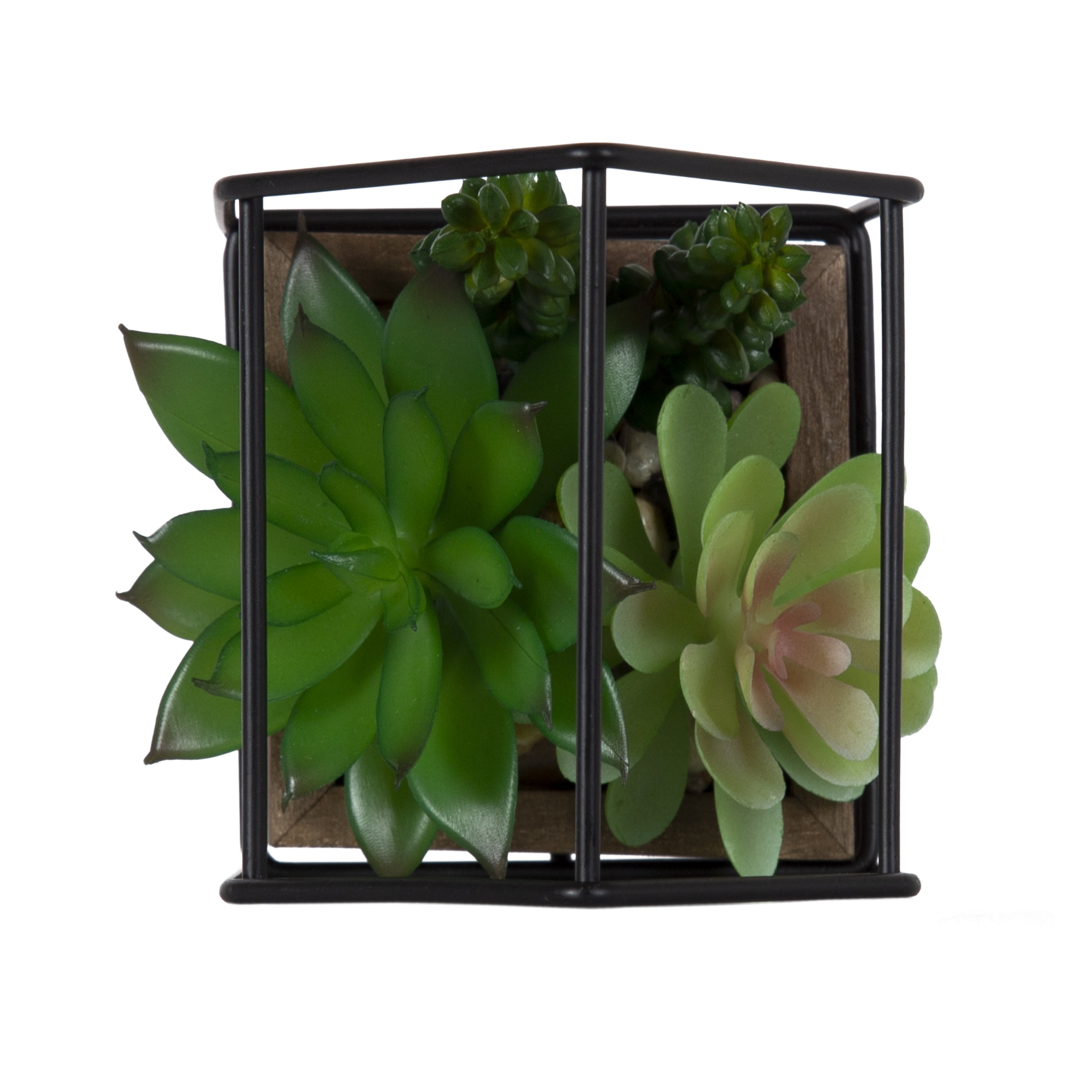 Mainstays 5.5" Artificial Mixed Succulents in Black Metal House Terrarium