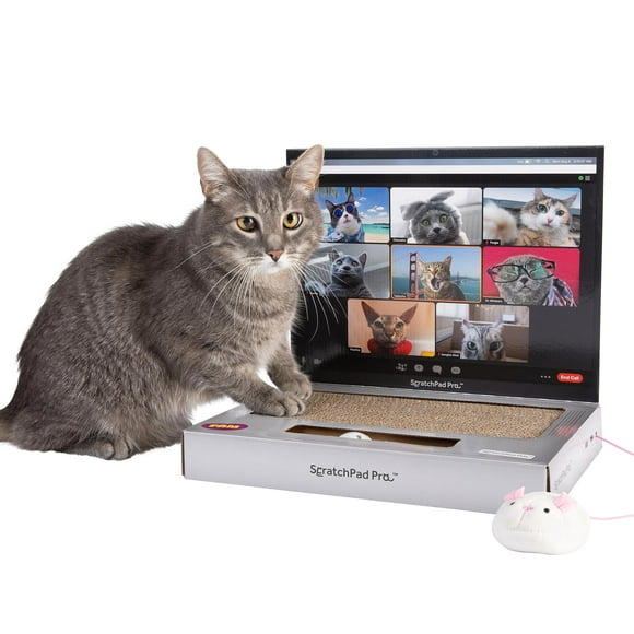Laptop Cat Toy Scratcher con pantalla de videochat y Ball Track P