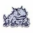 thumbnail image 2 of TCU Horned Frogs Primary Logo Iron On Embroidered Patch Medium, 2 of 2