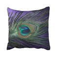 thumbnail image 1 of RYLABLUE Decorative Vivid Peacock Feather Pattern Throw Pillow Case Cushion Cover Size 18x18 inches Two Side, 1 of 1