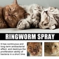 thumbnail image 6 of Yegebong 30Ml Pet Skin Care Spray, Premium Ringworm Spray For Cats And Dogs, With Easy-To-Use Spray Nozzle, For Daily Skin Care And Grooming -, 6 of 9
