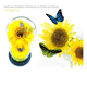 thumbnail image 2 of Regalos Para Ella Girasol Flores Eternas Artificiale Con Luz Xtellar amarillo, 2 of 3