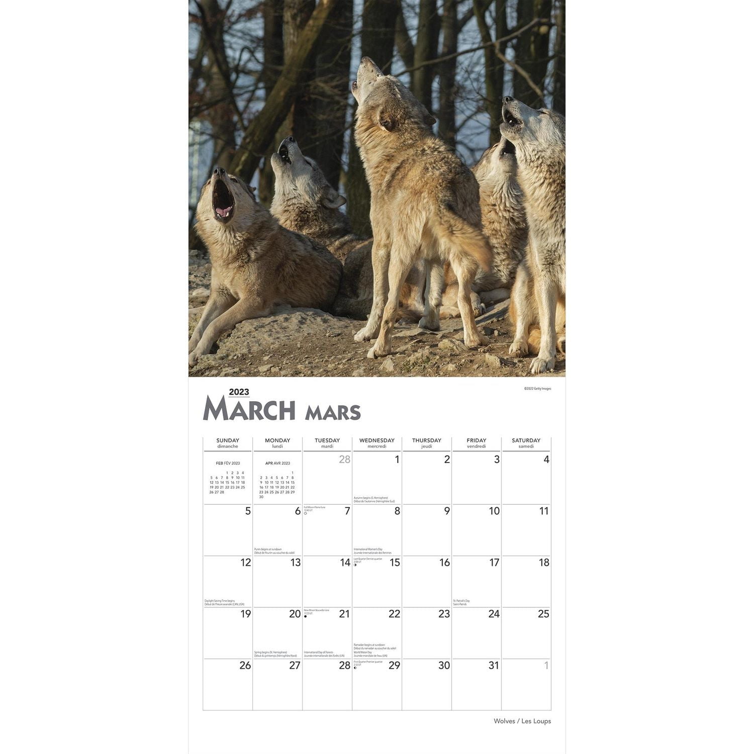 Wolves | Les Loups | 2023 12x24 Inch Square Wall Calendar