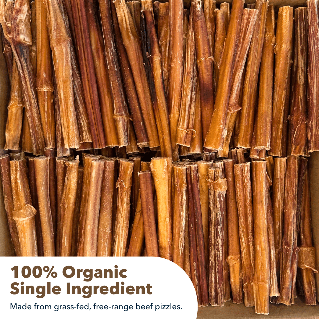 6" Standard Bully Sticks Display Box (100 ct) with Individual UPC Tags - 100% All Natural Beef