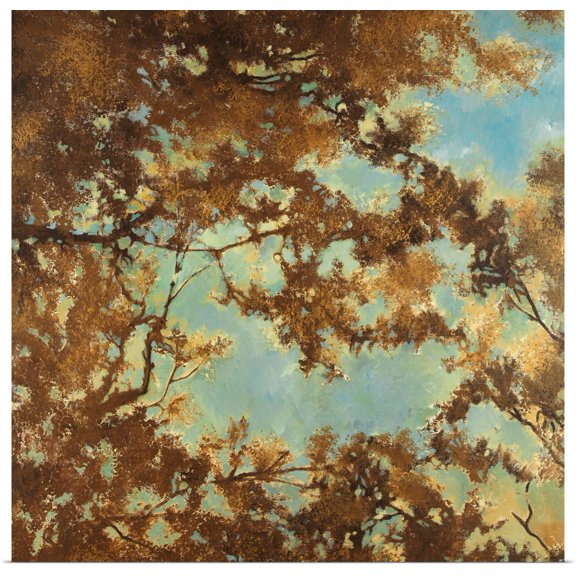 Great BIG Canvas | Rolled Liz Jardine Poster Print entitled Tree Canopy
