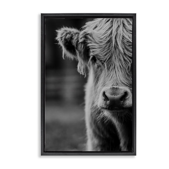 Baby Cow Face Black Framed Floater Canvas Wall Art, design by Amy Carroll