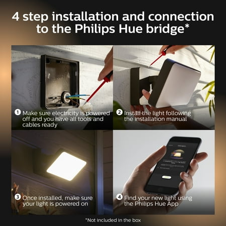 Philips - Hue Discover Outdoor Floodlight - White and Color Ambiance