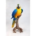 thumbnail image 3 of Hi-Line Gift 87776-B Macaw Statue, Blue & Yellow - Large, 3 of 3