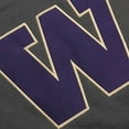 thumbnail image 2 of Youth Stadium Athletic Charcoal Washington Huskies Big Logo Pullover Hoodie, 2 of 3