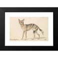 thumbnail image 2 of Charles Hamilton Smith 18x13 Black Modern Framed Museum Art Print Titled - Senegalese Wolf or Grey Jackal (1837), 2 of 5