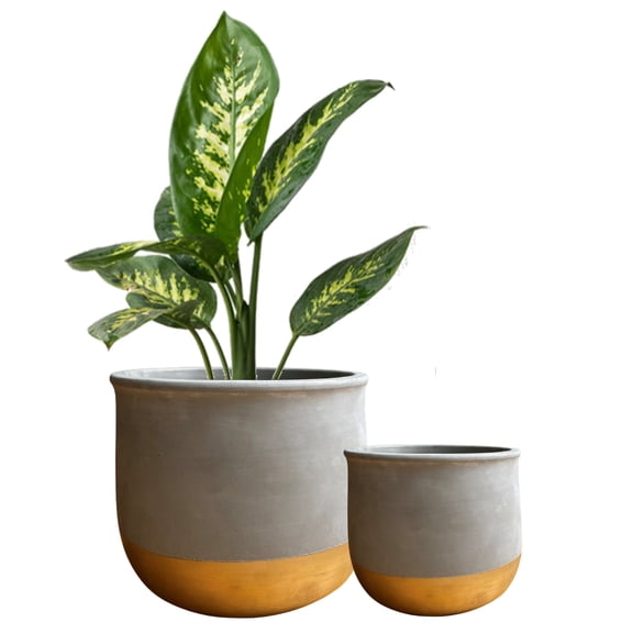 Olly & Rose Gold Dip Ceramic Plant Pot Set 2 Indoor Planters Outdoor Flower Pots Cement