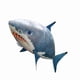 thumbnail image 4 of Control Remoto Tiburones Juguete, Juguete De Pescado Volador RC Inflable Con Globo Con Helio Reutilizable Para Fiesta De Cumpleaños Familiar, 4 of 7