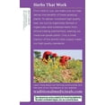 thumbnail image 4 of Té Traditional Medicinals Smooth Move Senna Organic, 64 bolsas, 4 of 9