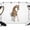 Brown, variant on Funny Giraffes Backdrop for Photography,Fabric Photo Background Backdrop,Cute Art Fun Lovely Animals on Toilets Photo Booth Background for Portrait Photoshoot Video Wedding Studio Decor Banner 12x8ft