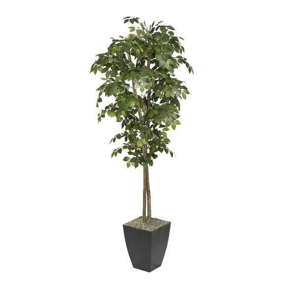 D & W Silks 7' Sakaki Tree in Black Metal Planter