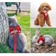 thumbnail image 5 of Cat Harness and Leash for Walking Adjustable Soft Mesh Vest Harnesses with Reflective Strap Metal Leash Ring Metal Clip for Small Medium Large Cats Pe, 5 of 5
