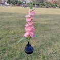 thumbnail image 2 of TERGAYEE Solar Garden Lights,Solar Delphinium Lights,LED Solar Powered Light Decorative Flower Lamp,Yard,Patio,Pathway Garden Decoration, 2 of 2