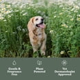 thumbnail image 3 of Limpiador de patas Dandylion Clean Paws No-Rinse para perros, 150 ml, 3 of 7