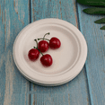thumbnail image 2 of 100% Compostable Disposable Paper Plates Bulk 9 Inch 100 Pack, Bamboo Plates, Friendly, Biodegradable, 2 of 5