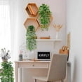 thumbnail image 4 of KIRIFLY Indoor Faux Hanging Greenery Eucalyptus Plants (3 Pack), 4 of 8