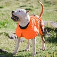 thumbnail image 4 of Pefilos Pet Dog Coats for Medium Dogs Winter Cozy Waterproof Windproof Reversible Dog Jacket for Small Dogs Girl, Adjustable Drawstring Warm Dog Jackets for Large Dogs Sport Vest Orange L, 4 of 10