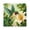 B, variant on Crystal Bead Diamond Painting Kit, 5D Floral Art Set for Adults, 7.87 x 7.87 Inch Number-Coded Canvas With Point Drill Pen, Design A, 1 Pack