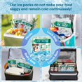 thumbnail image 3 of Paquetes de hielo SuccorWare reutilizables para loncheras de 250 g (5 paquetes), 3 of 7