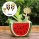thumbnail image 5 of Etiquetas de Plantas Sunnimix Conjunto de 60 Piezas, 5 of 7