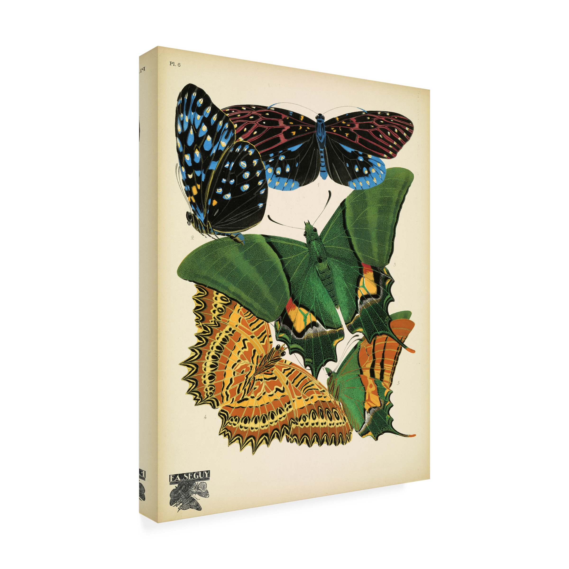 Vintage Apple Collection 'Papillons 6' Canvas Art