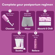 Frida Mom Disposable Postpartum Underwear for Women, Boyshort (8 Count)