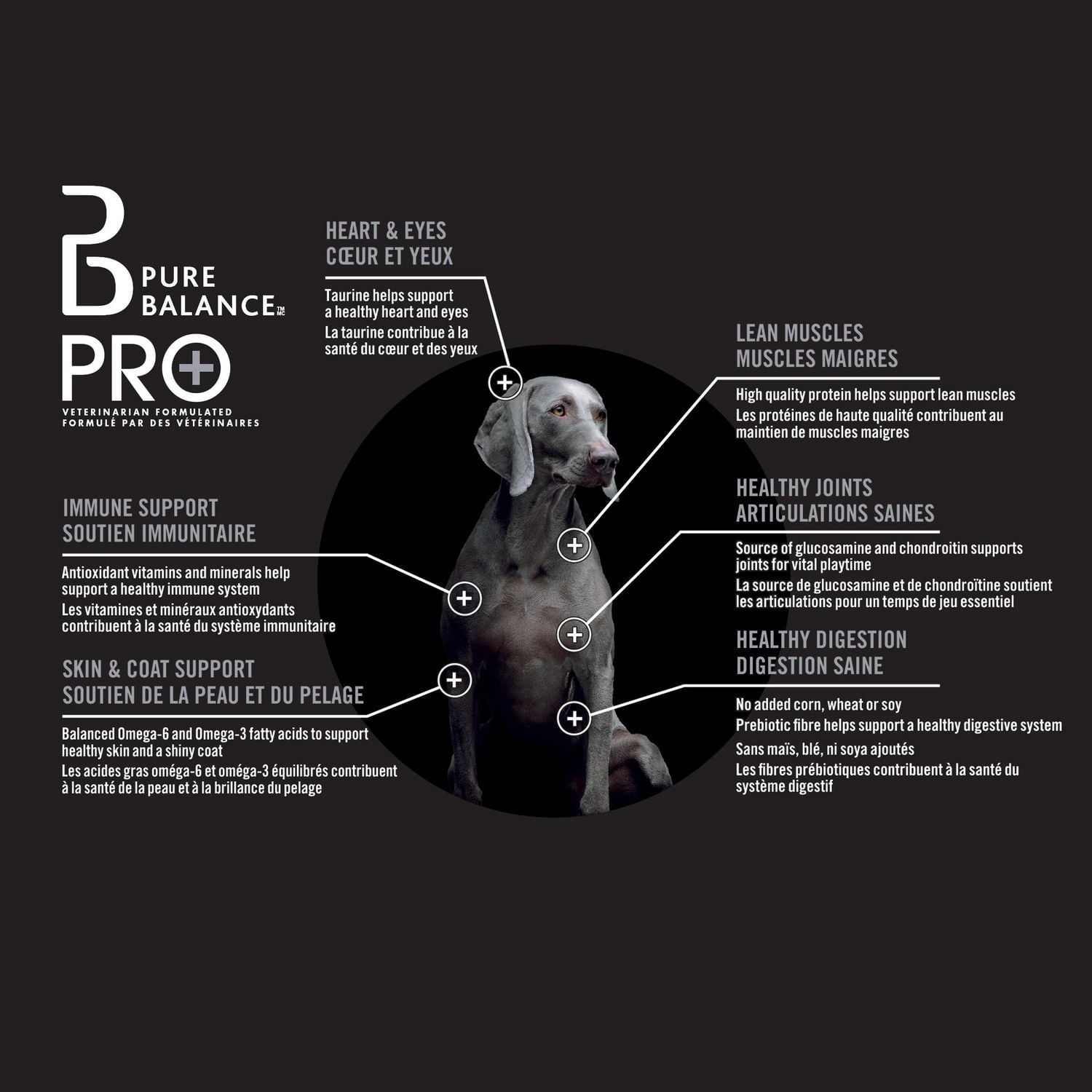 Pure Balance Pro+ Healthy Aging, Salmon & Brown Rice Recipe Dry Dog Food, 100 g, 3.5 kg, 7 kg