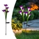 thumbnail image 1 of Luces de Flores de Lirio Solares para Jardín Exterior | 2 Lámparas de Piso con Enchufe | LED Impermeable con Energía Solar | Altura 27.56 in | Blanco Cálido, Rosa, Amarillo, Púrpura | Decoración, 1 of 6